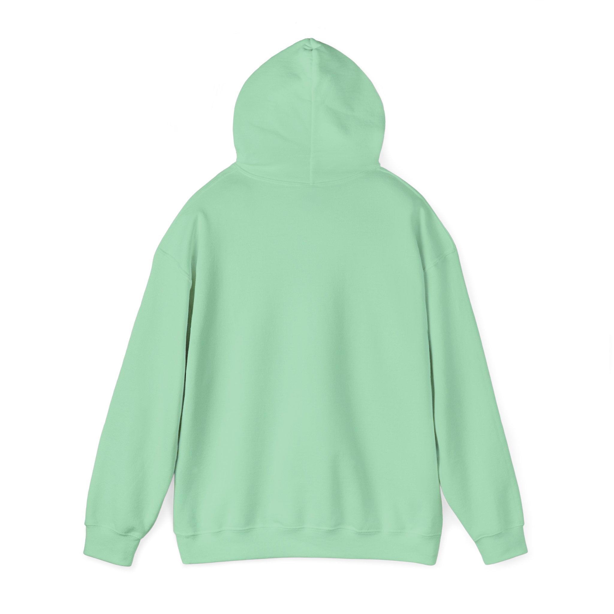 Cozy Companion hooded sweatshirt