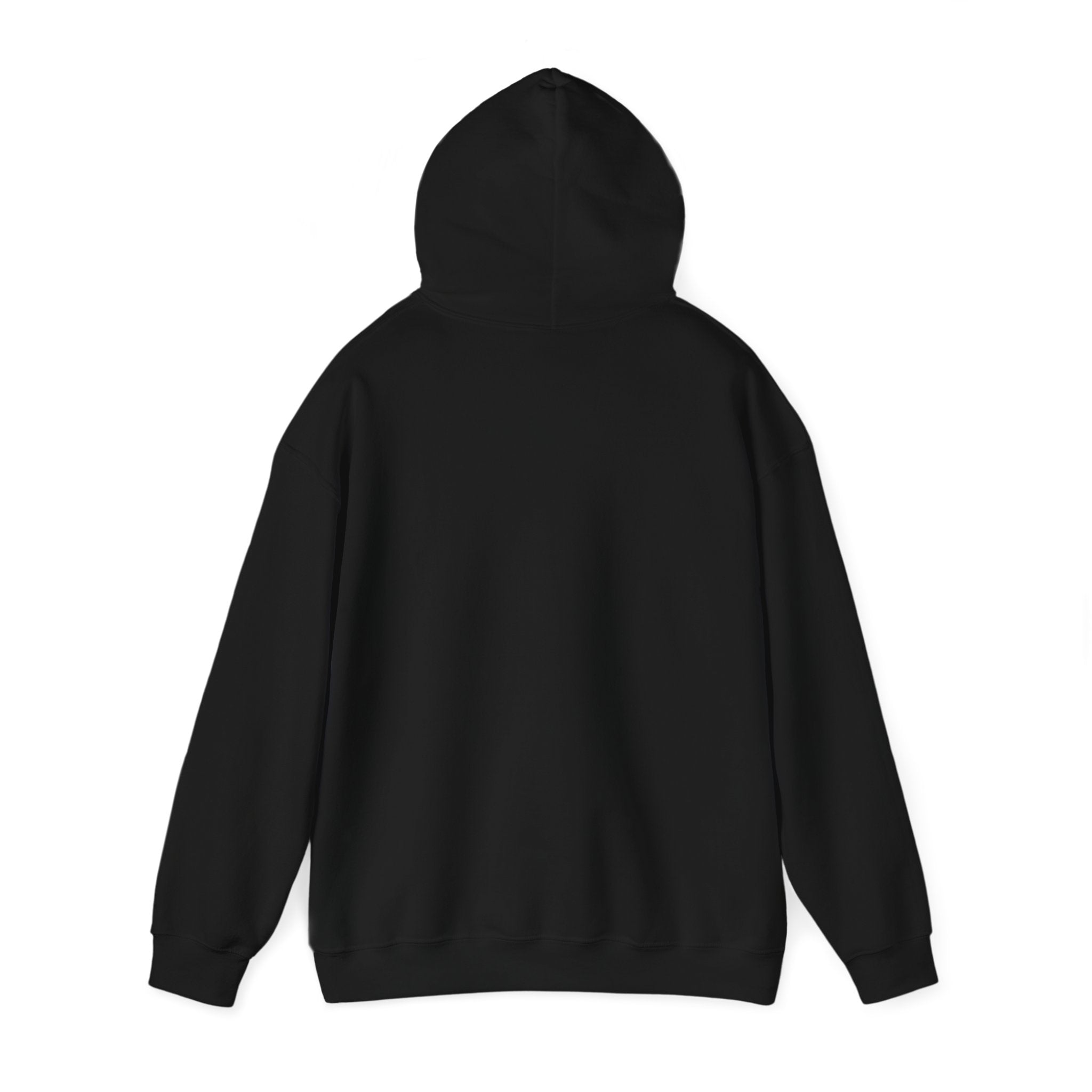 Cozy Companion hooded sweatshirt