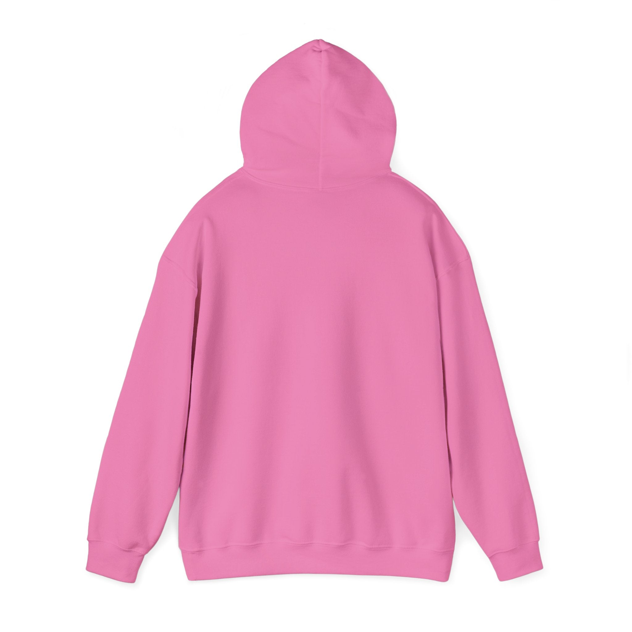 Cozy Companion hooded sweatshirt