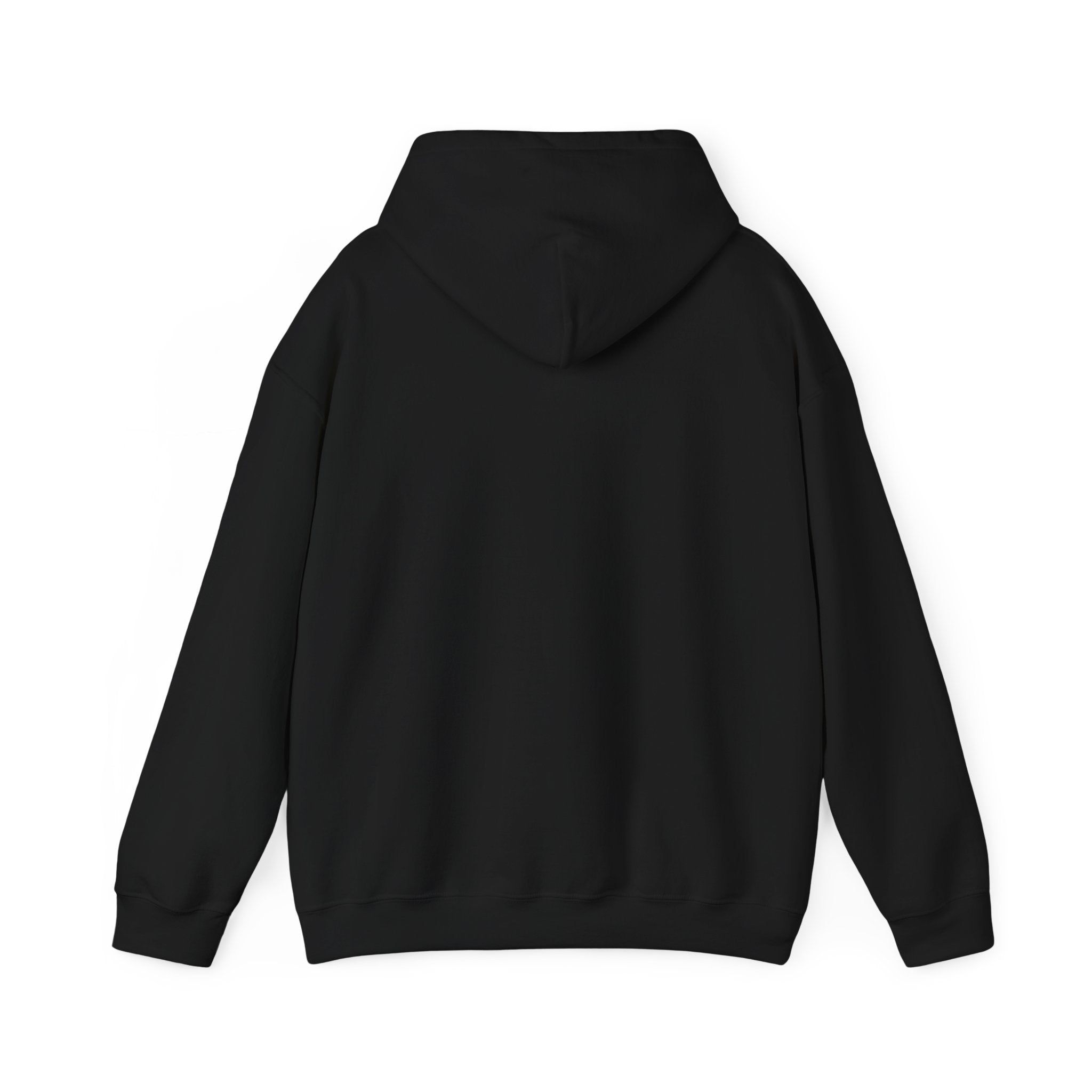 Cozy Companion hooded sweatshirt