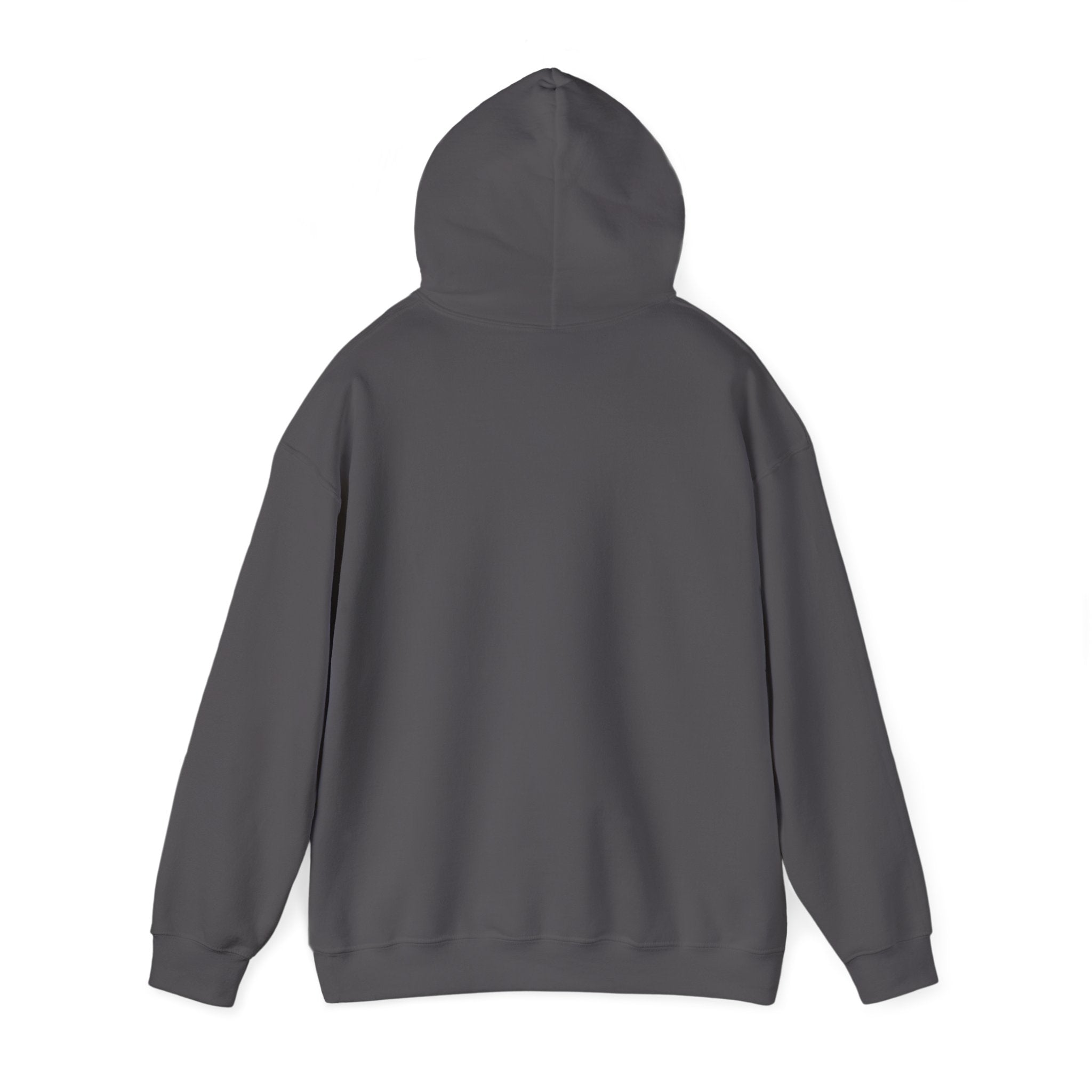 Cozy Companion hooded sweatshirt