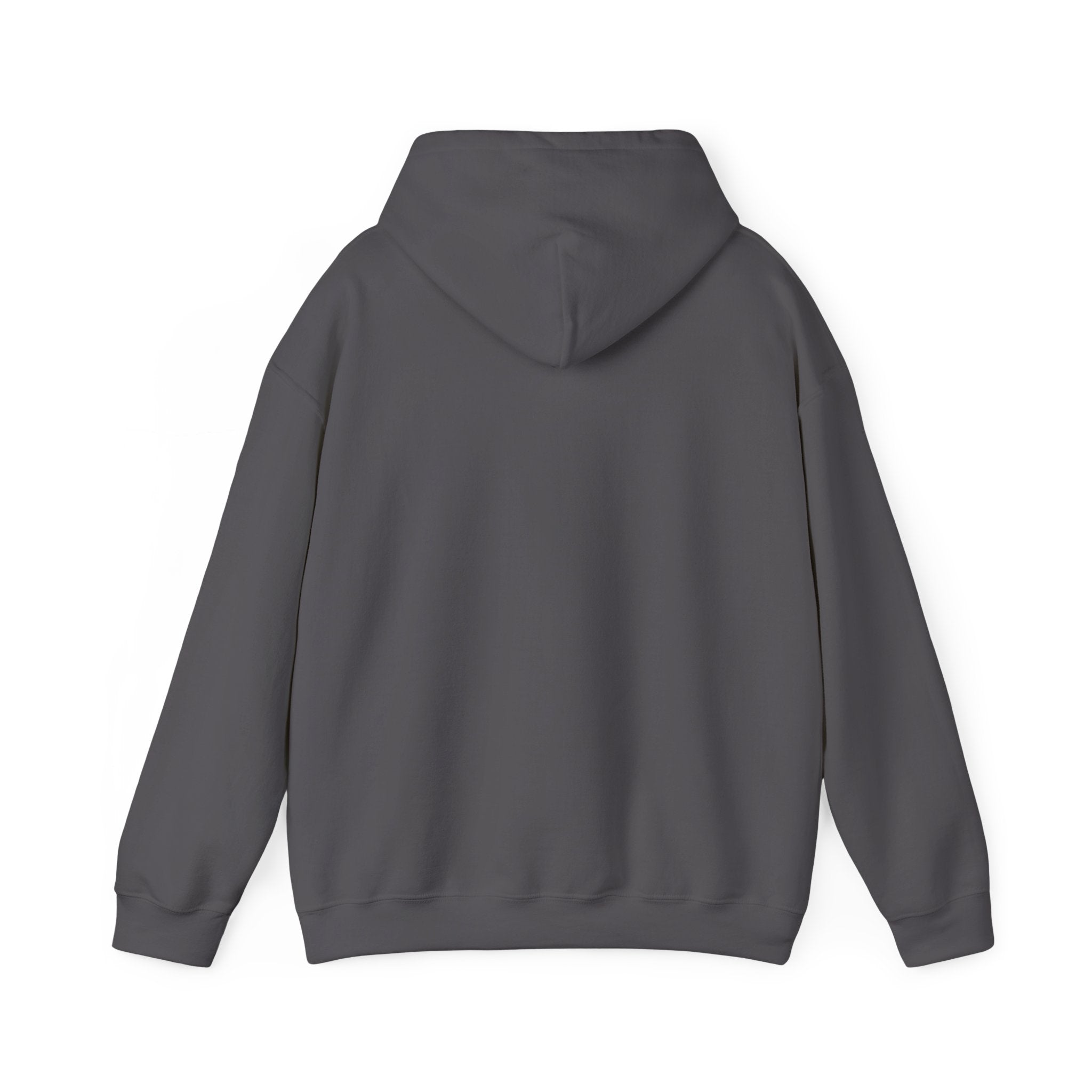 Cozy Companion hooded sweatshirt