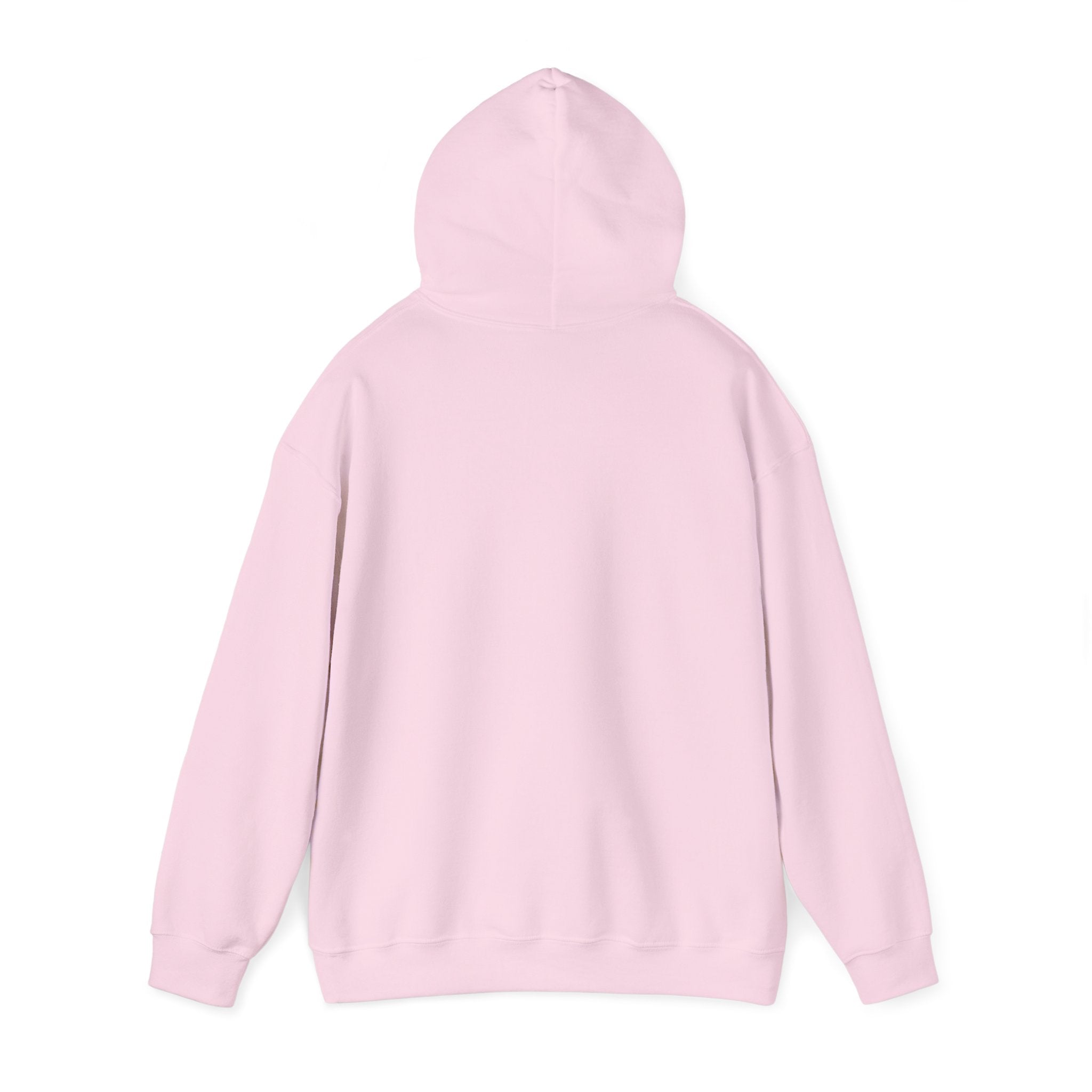 Cozy Companion hooded sweatshirt