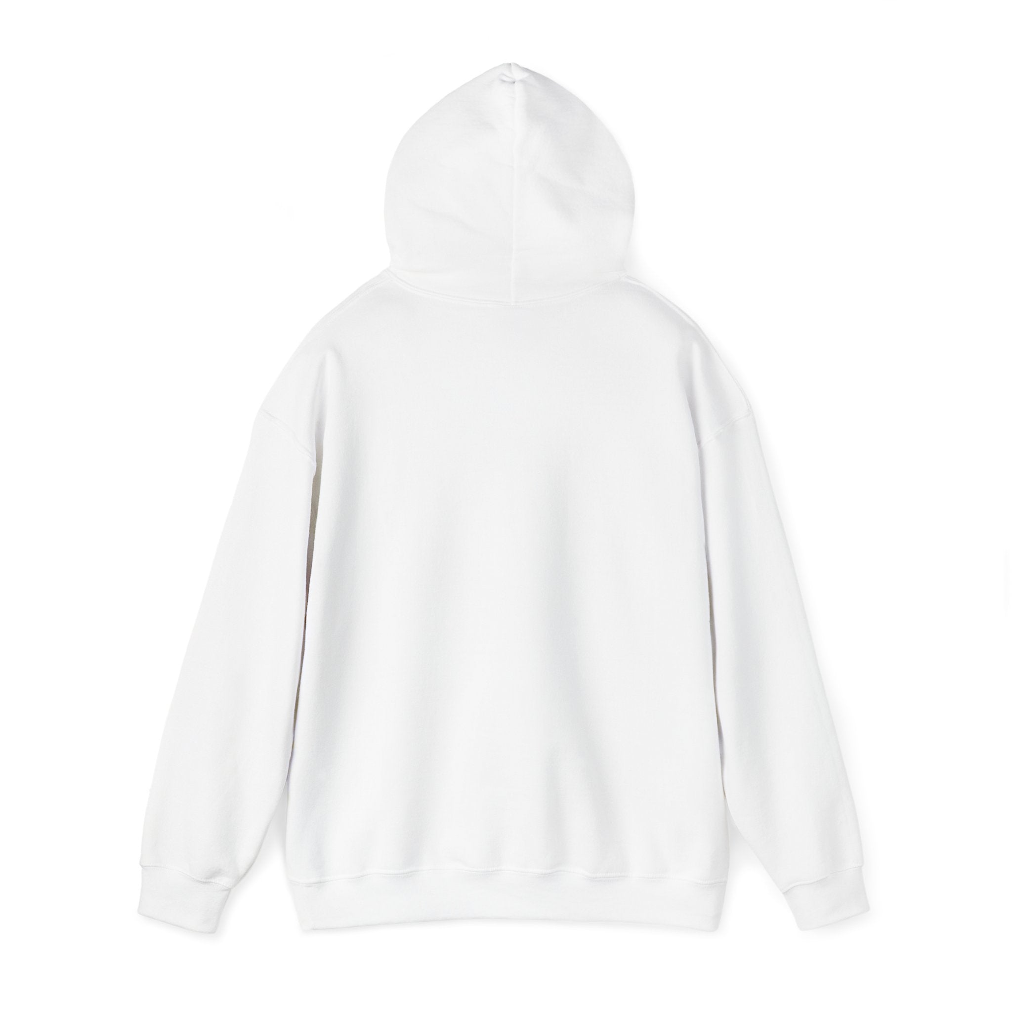 Cozy Companion hooded sweatshirt